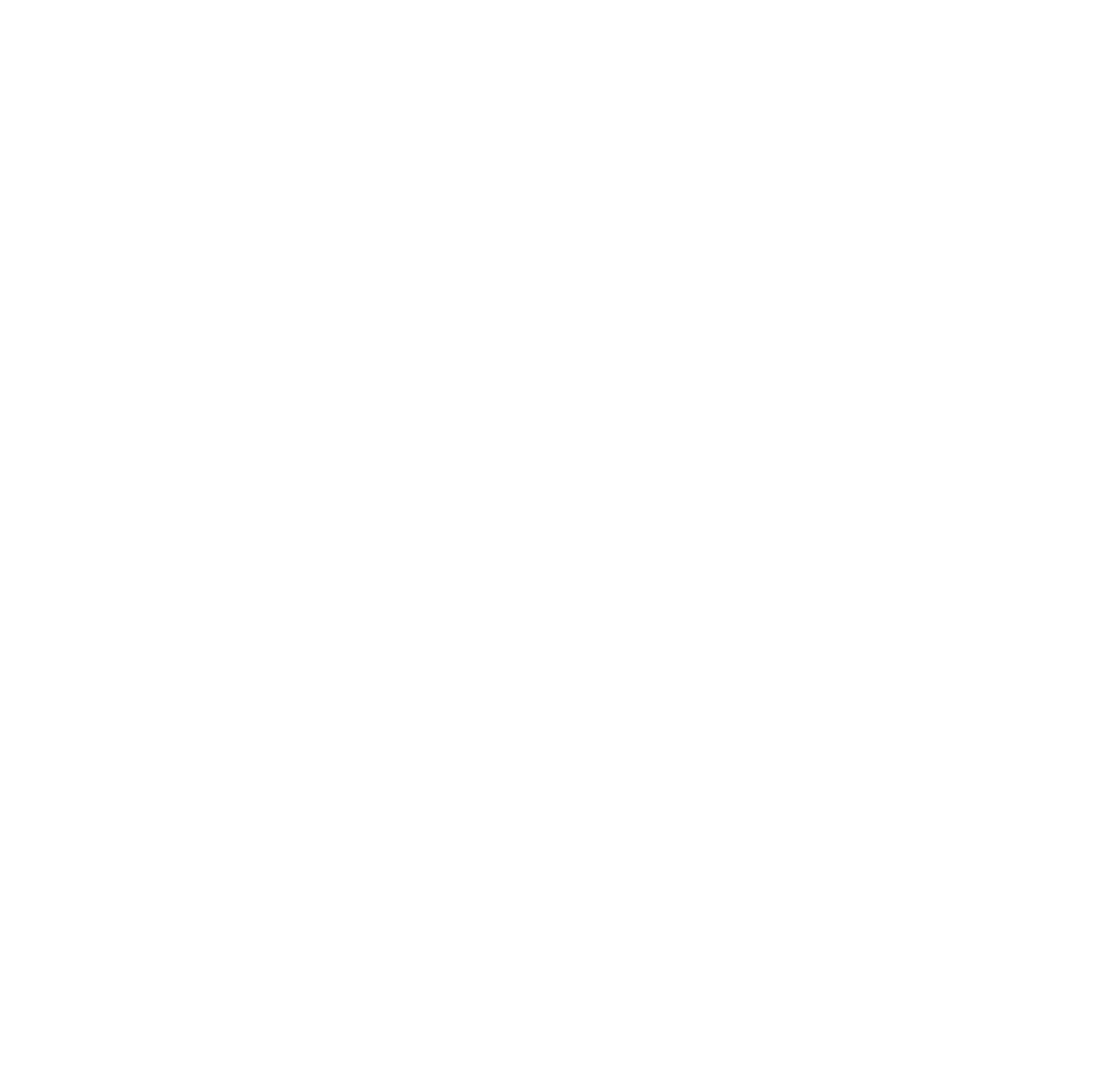 Neat 2024 Logo